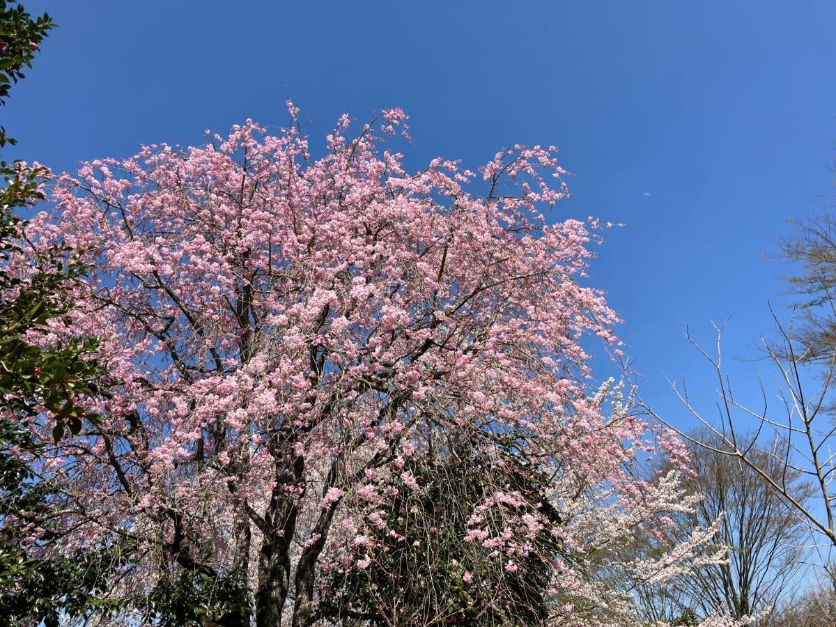 お宿でん吉 Minamiaso Exterior photo